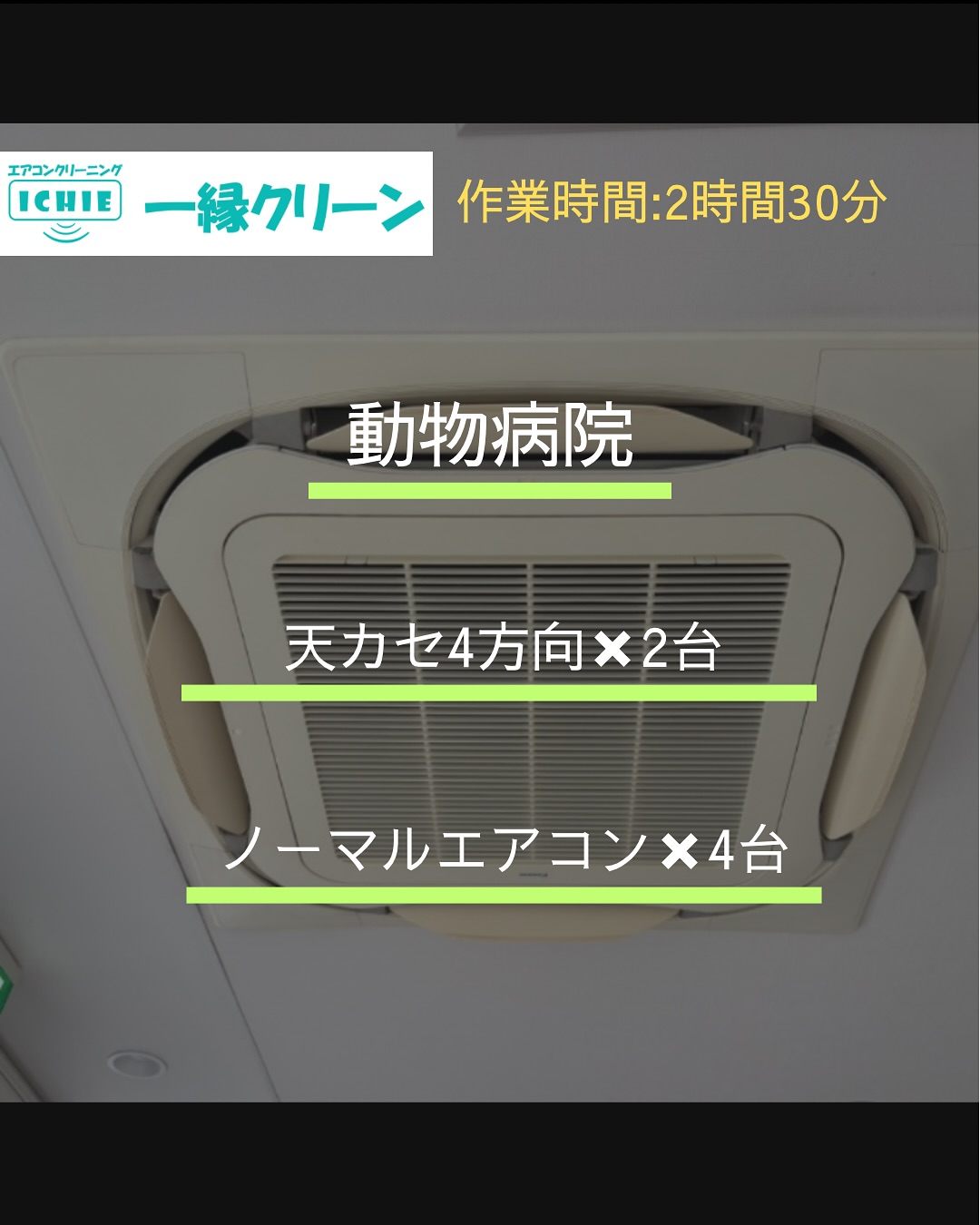 【横浜市】動物病院のエアコンクリーニング・カビや汚れを分解洗浄で徹底除去。

院内では動物の毛や細か
